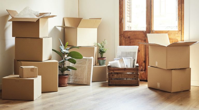 Moving boxes and potted plants at new apartment